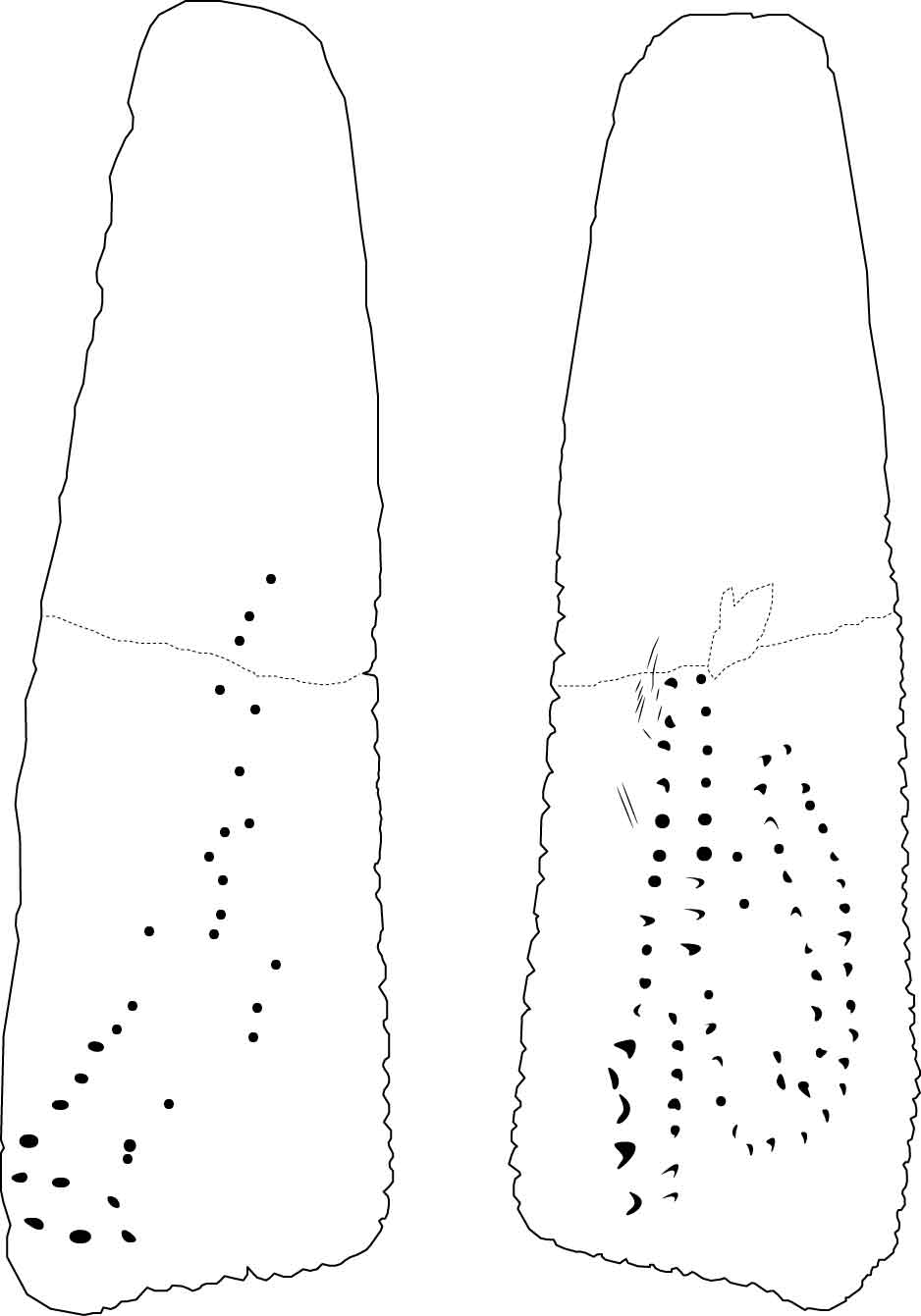 Image 'dr_bla0005' not available