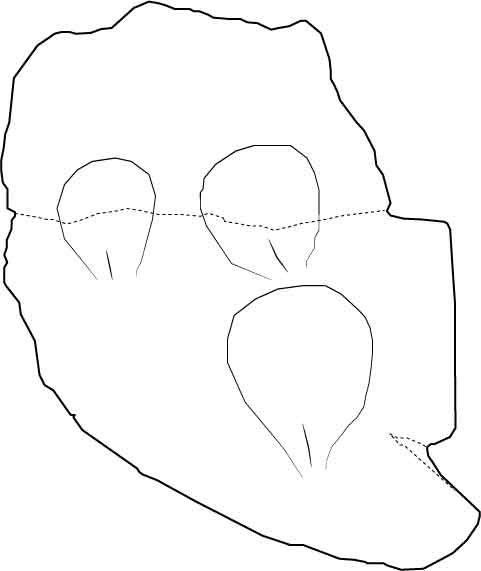 Image 'dr_bla0011' not available