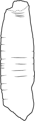 Image 'dr_cas0009' not available