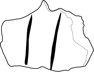 Image 'dr_cas0011' not available