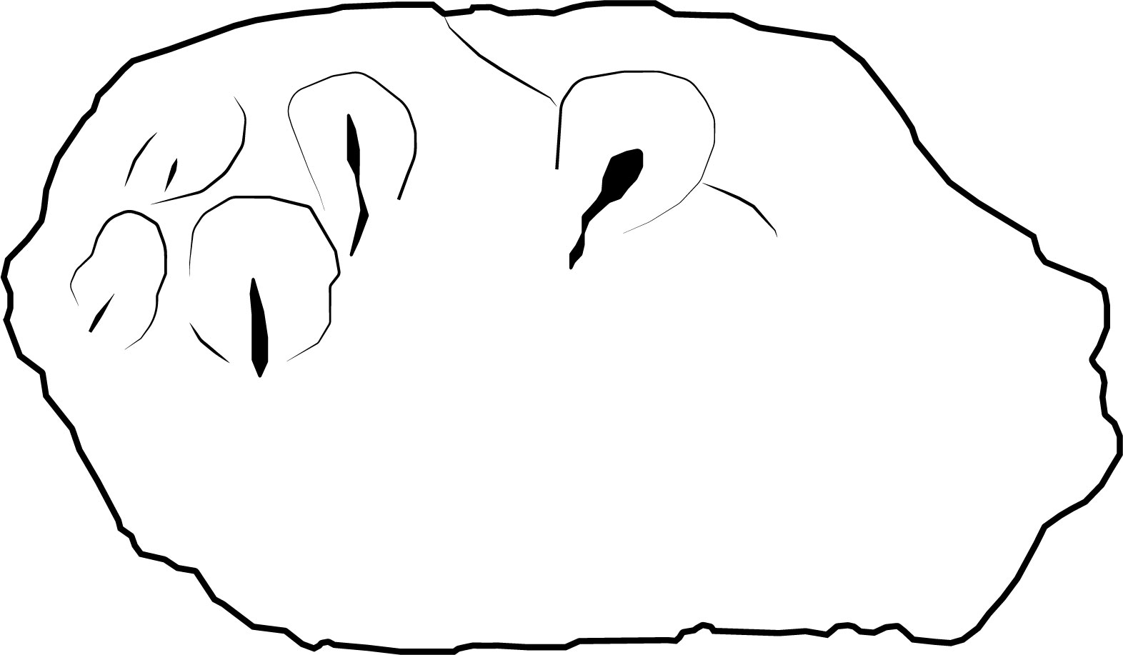 Image 'dr_cel0002' not available