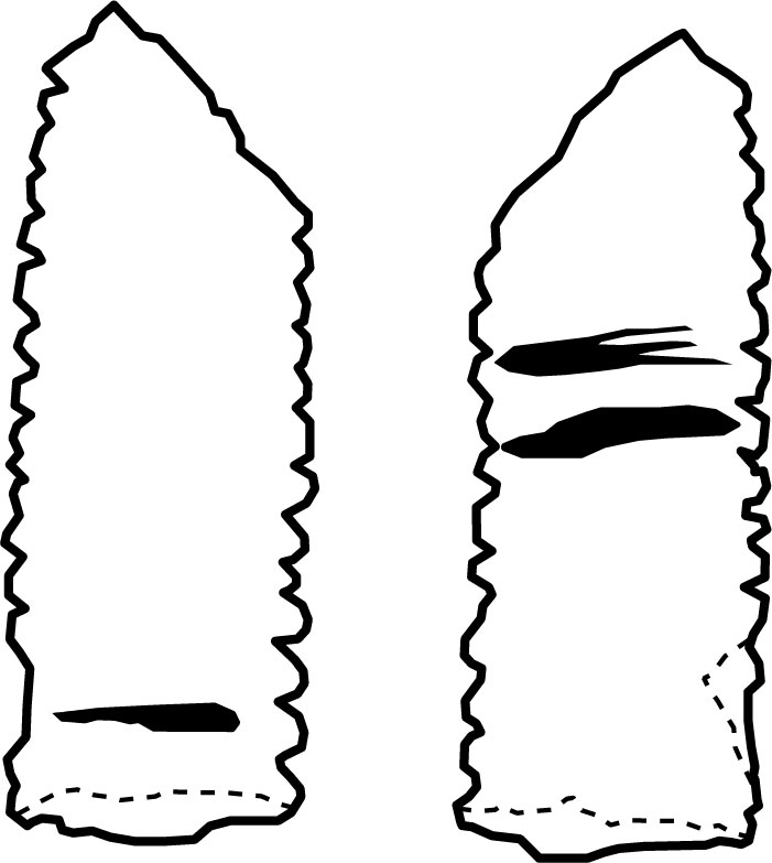 Image 'dr_cel0009' not available