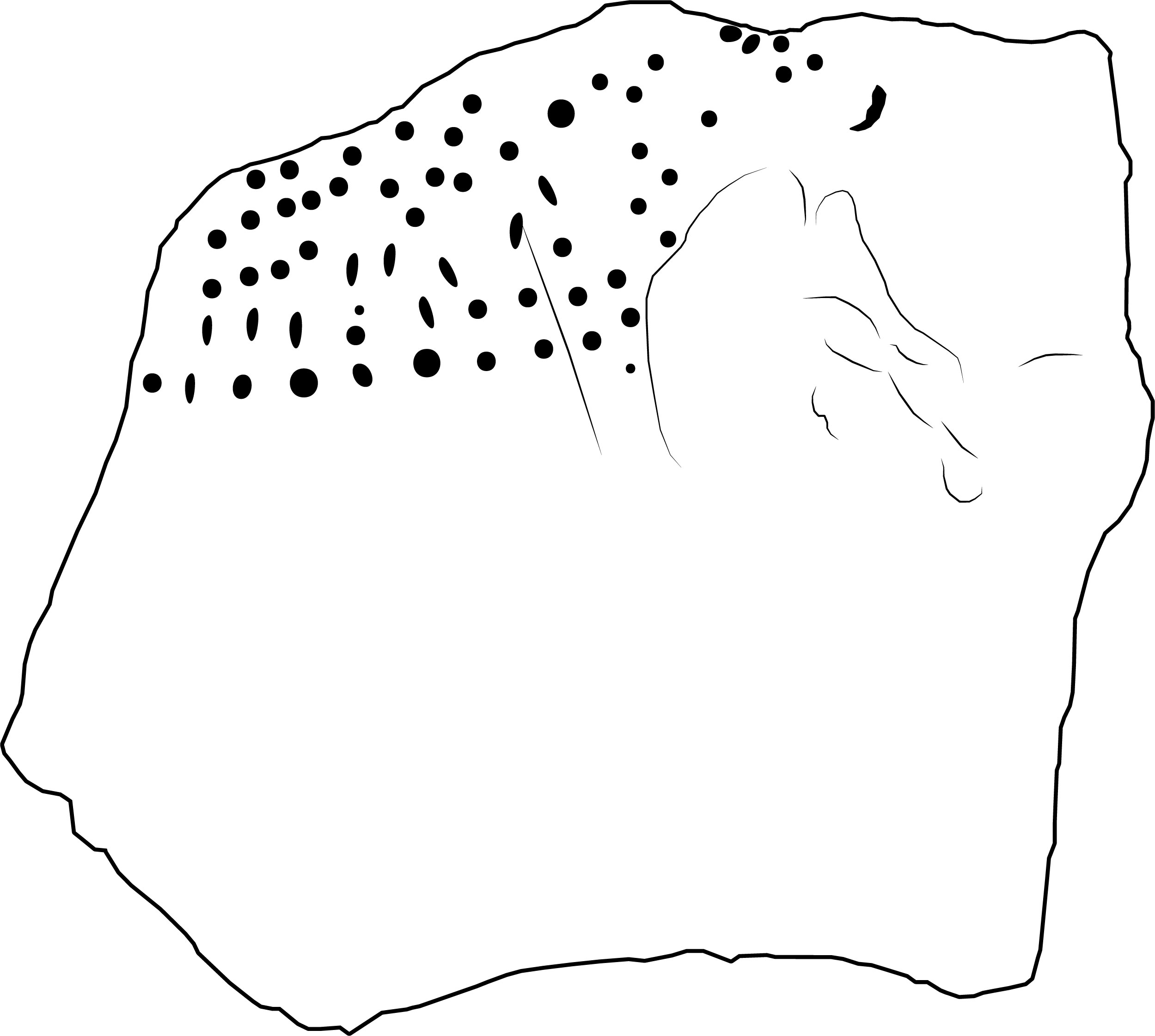 Image 'dr_cel0019' not available