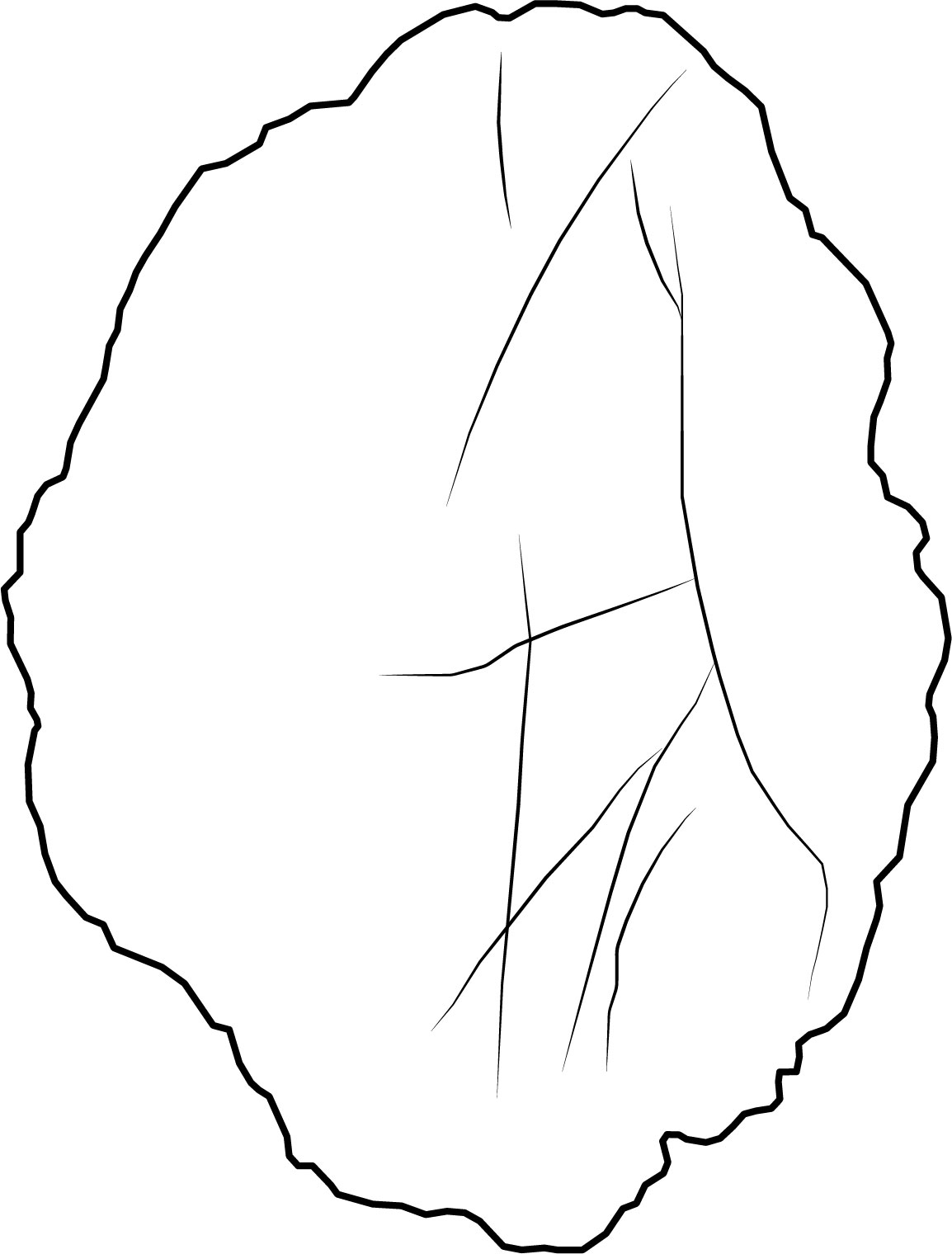 Image 'dr_cel0026' not available