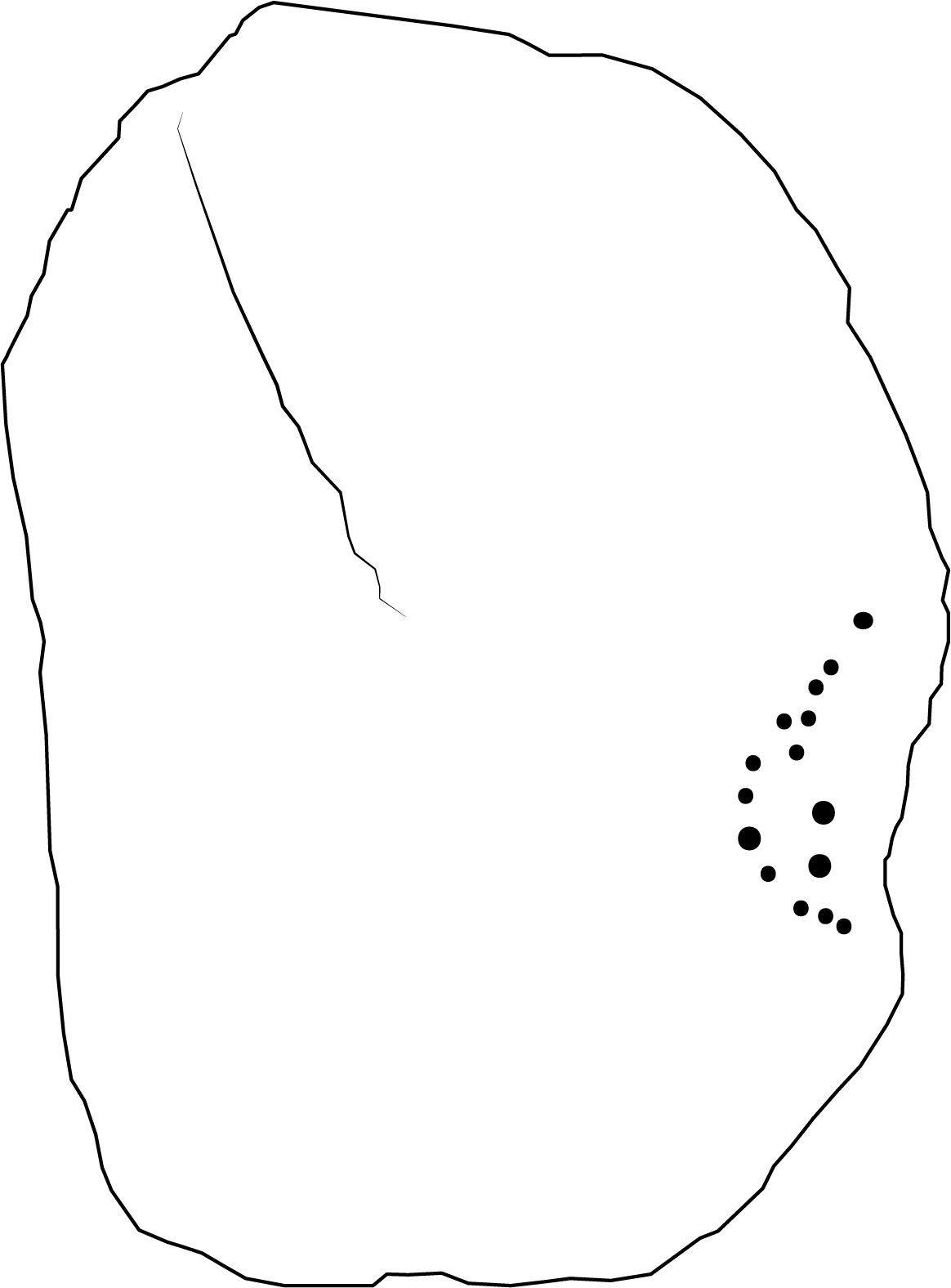 Image 'dr_cel0027' not available