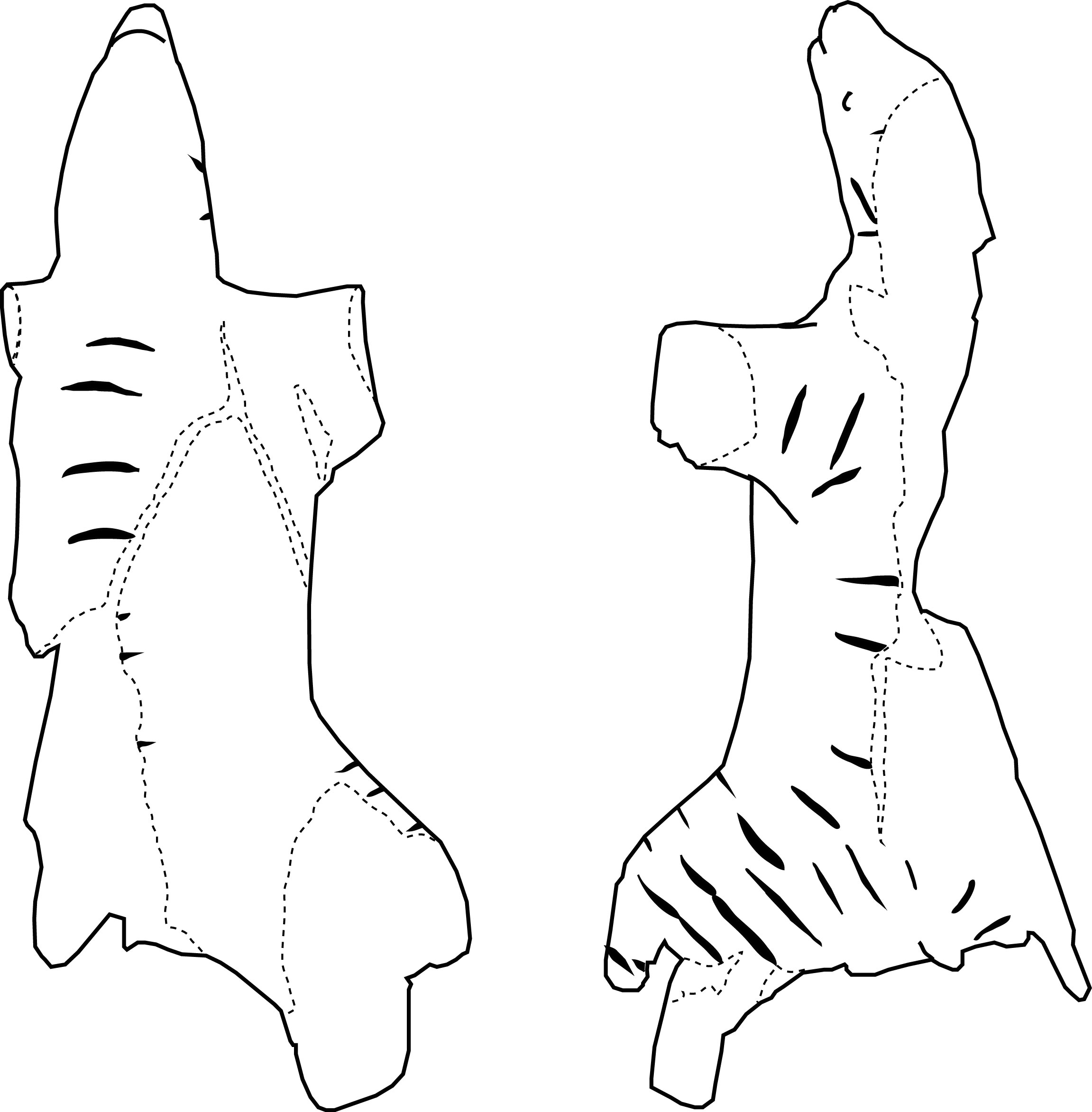 drawing gkl0011