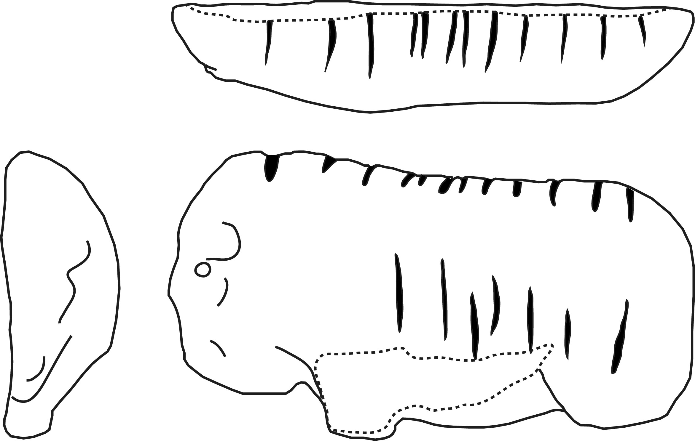 'drawing '