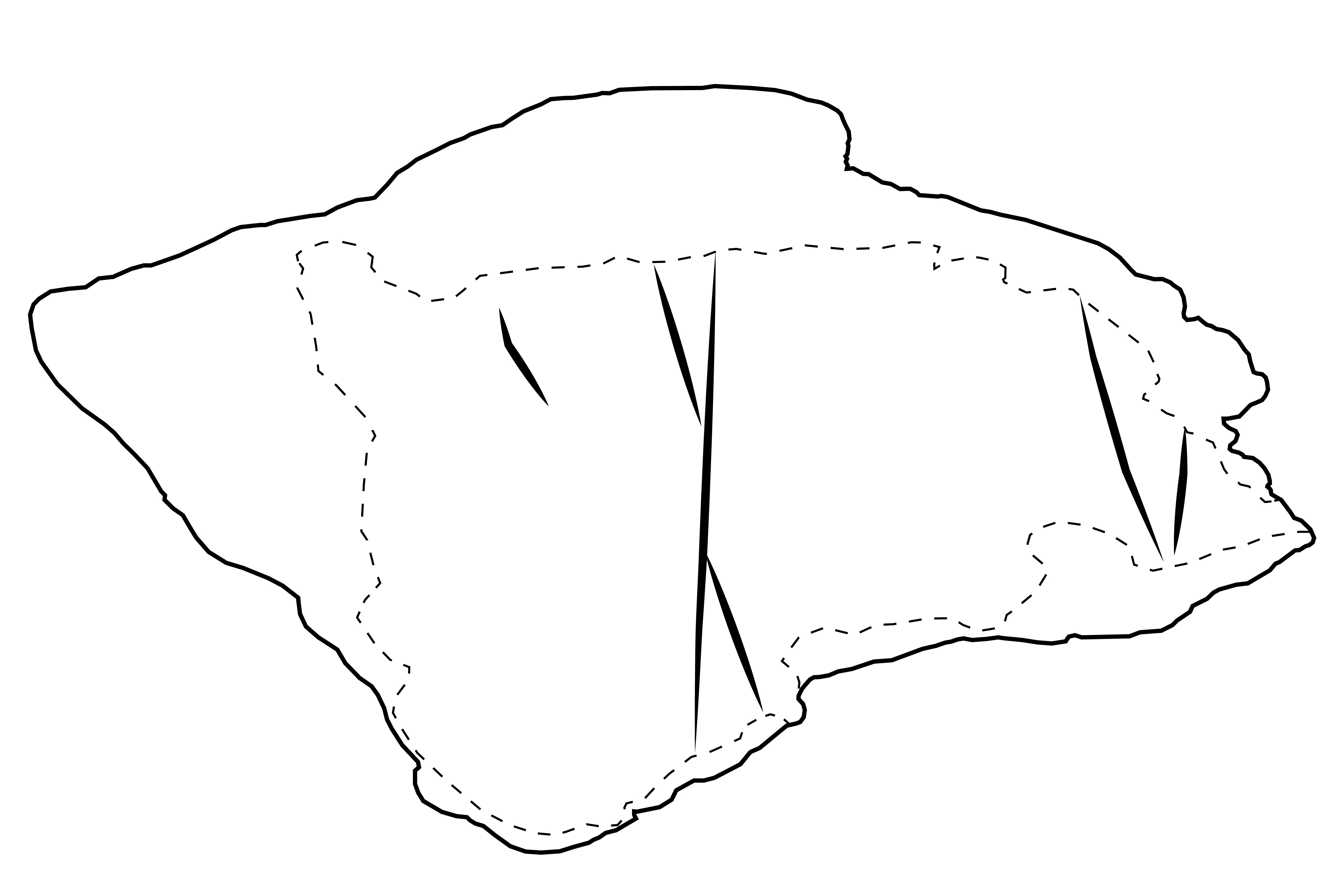 'drawing '