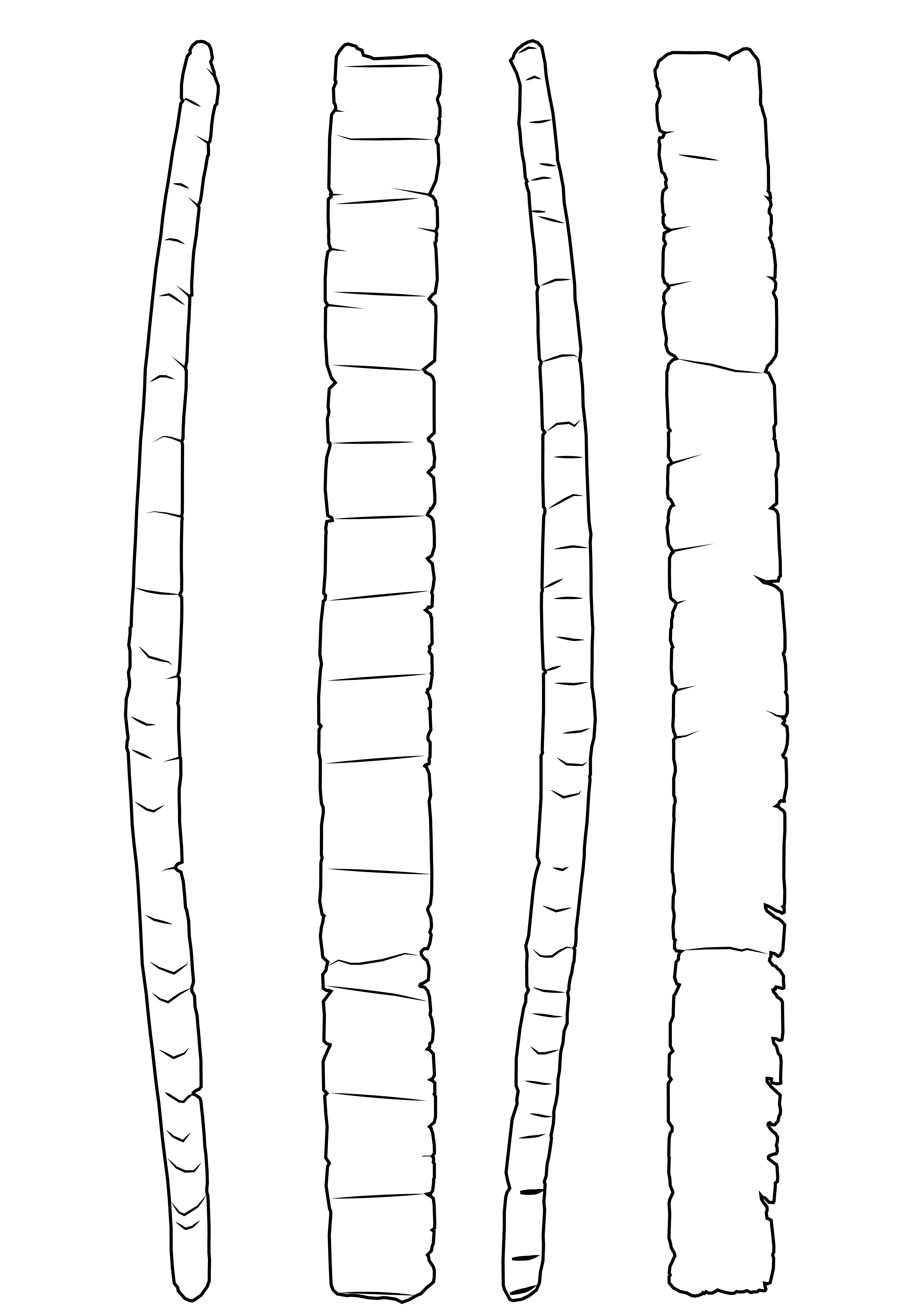 Image 'dr_' not available