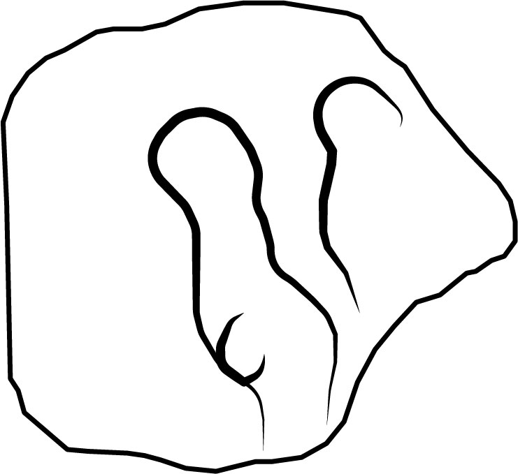 Image 'dr_ltp0001' not available