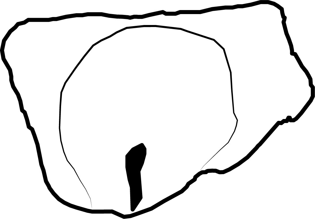 Image 'dr_lus0002' not available