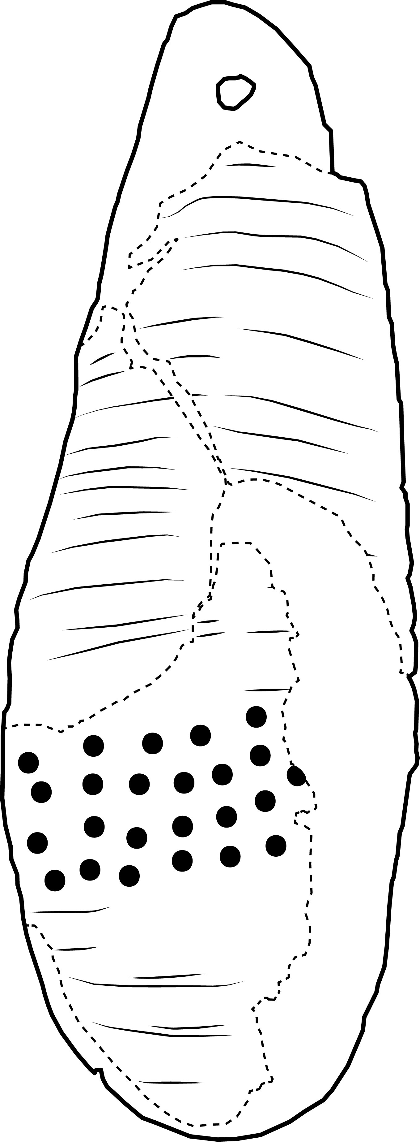 Image 'dr_tdc0001' not available
