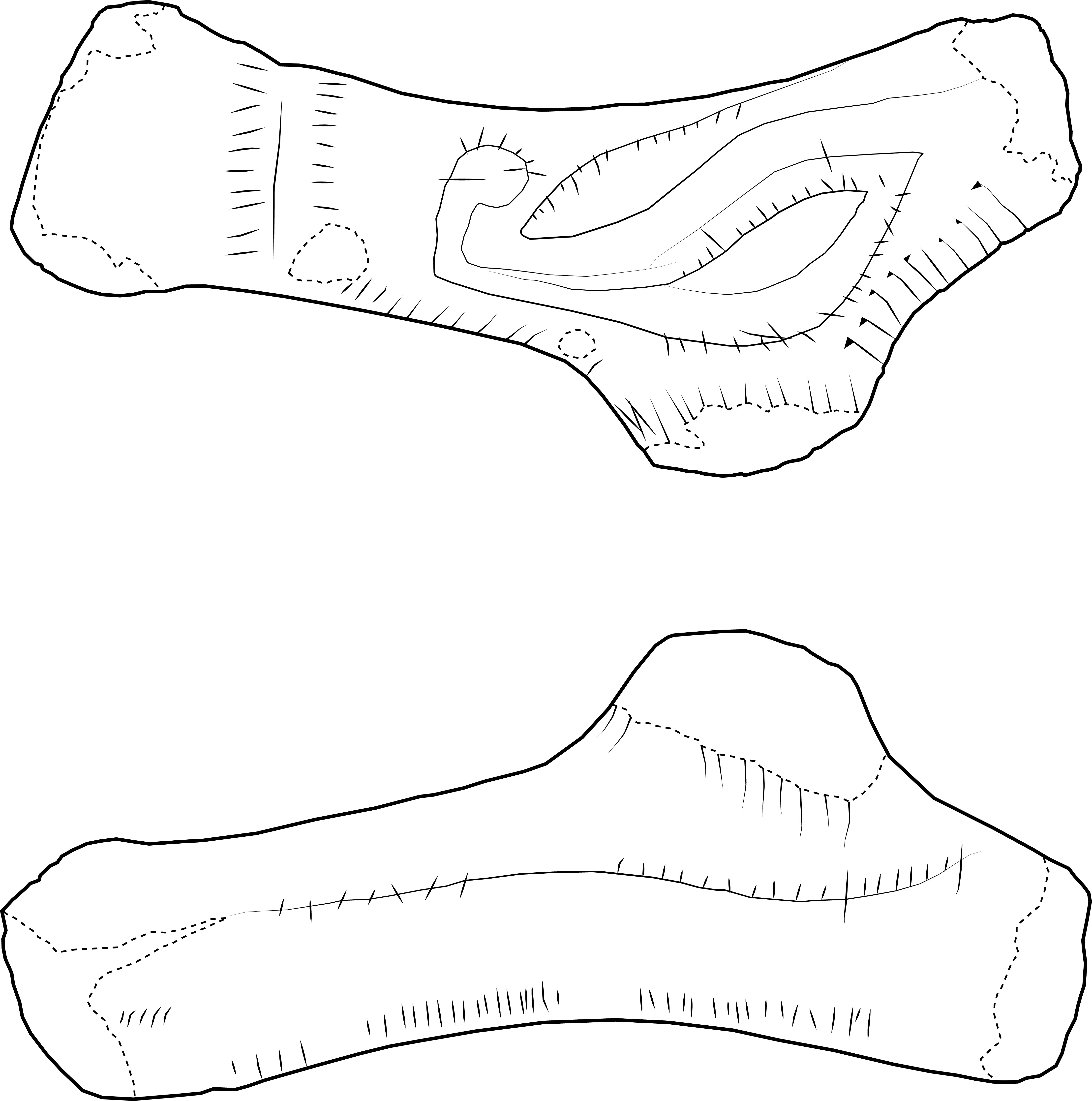 Image 'dr_trm0004' not available