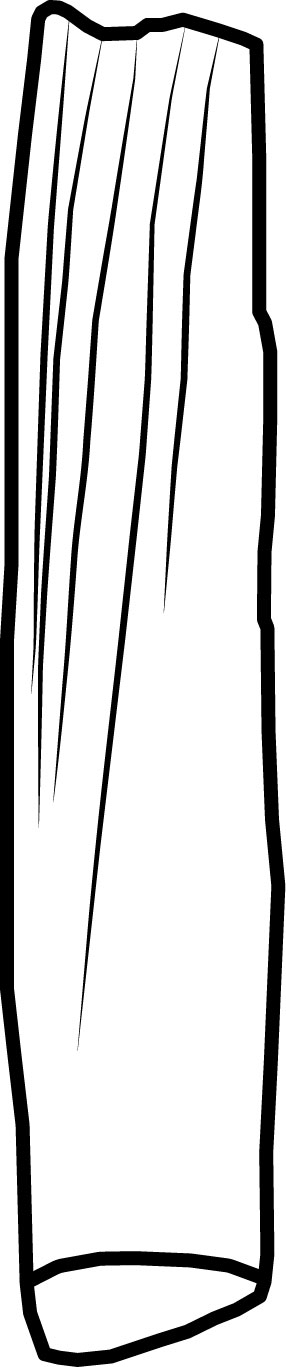 Image 'dr_trm0007' not available