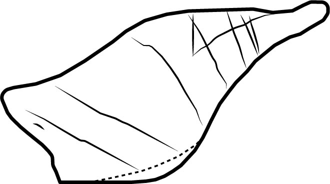 Image 'dr_trm0012' not available