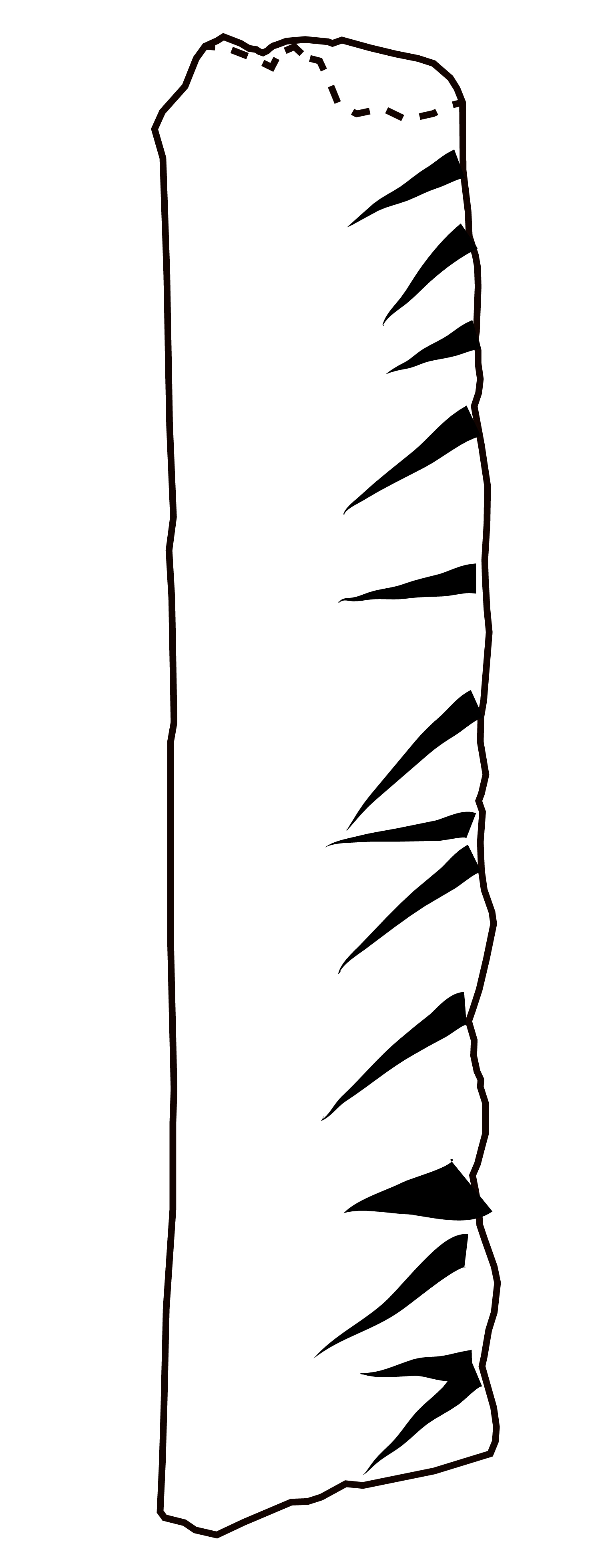 'drawing '