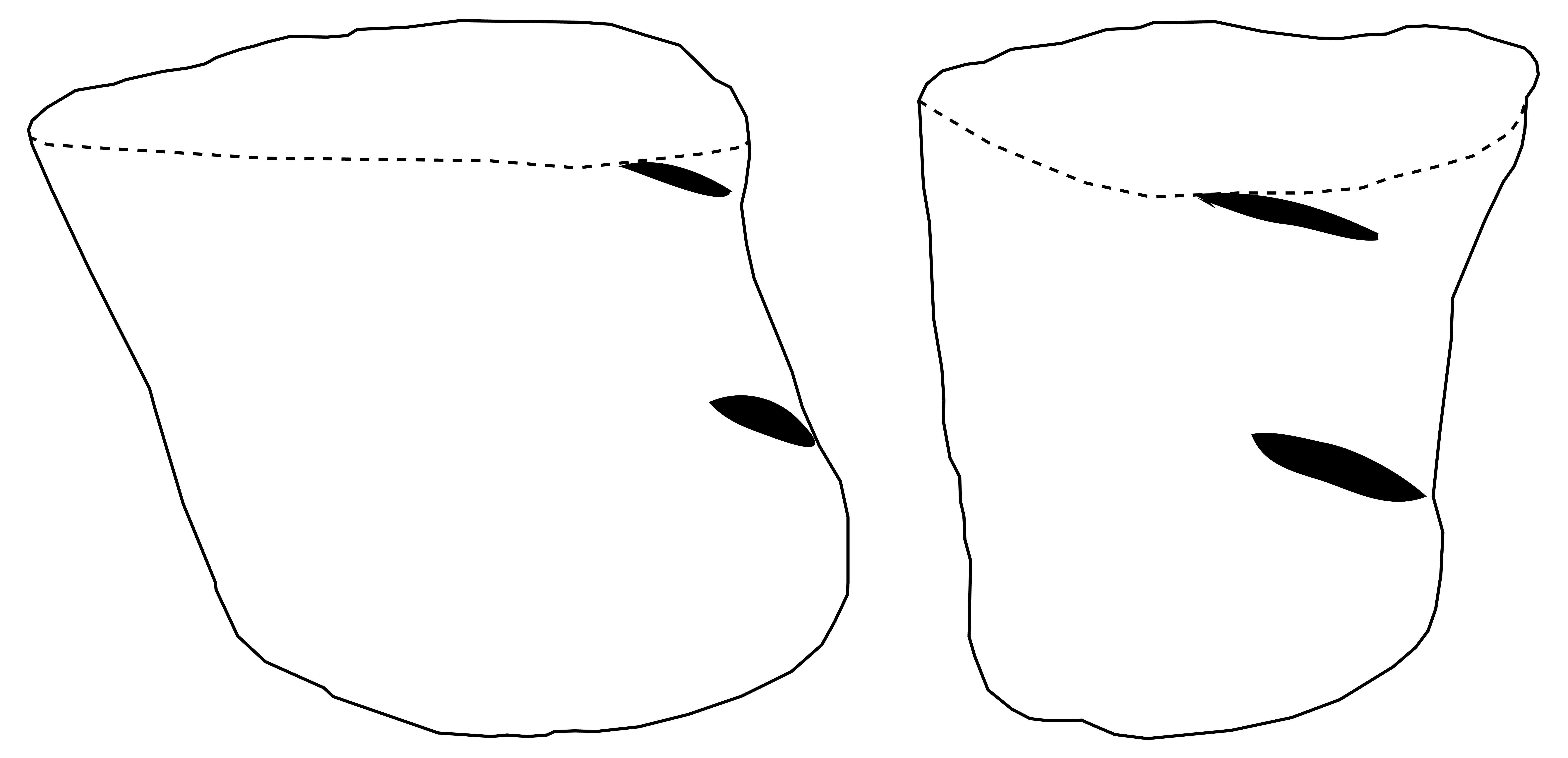 'drawing '