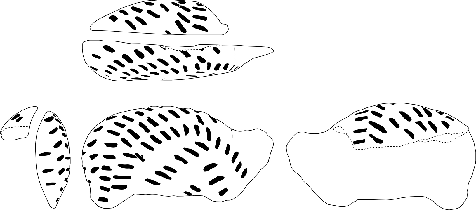 'drawing '