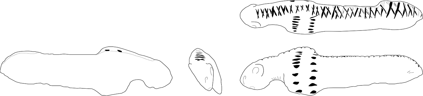 'drawing '