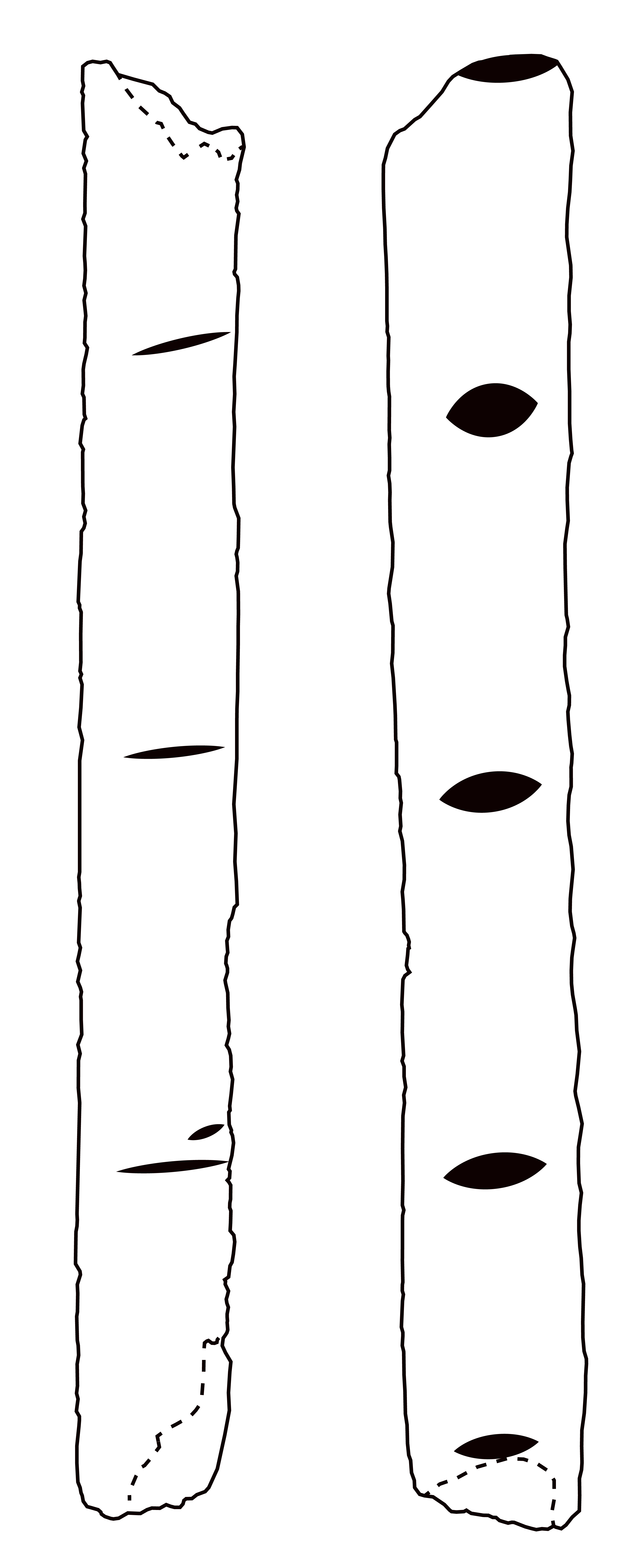 'drawing '