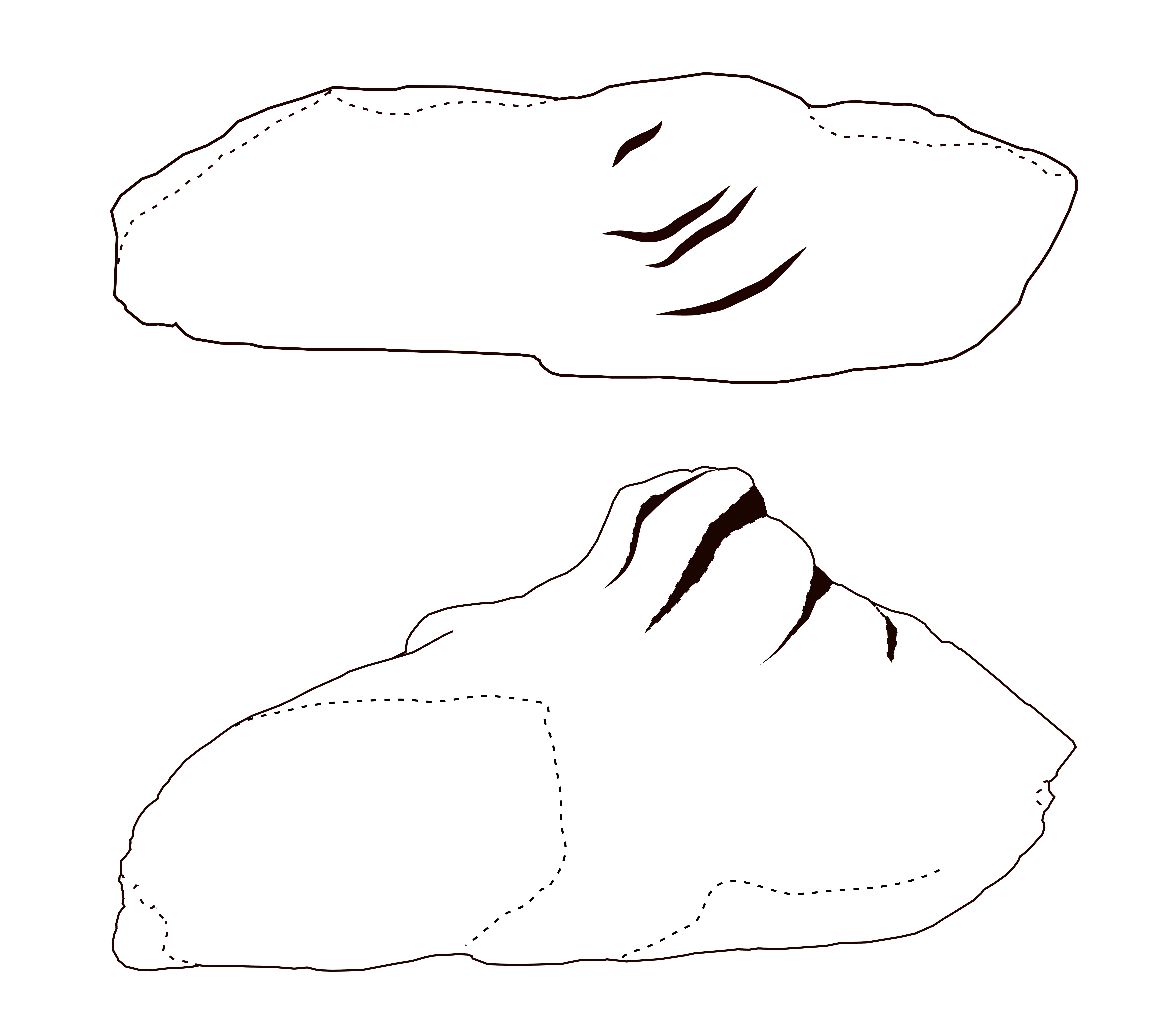 'drawing '