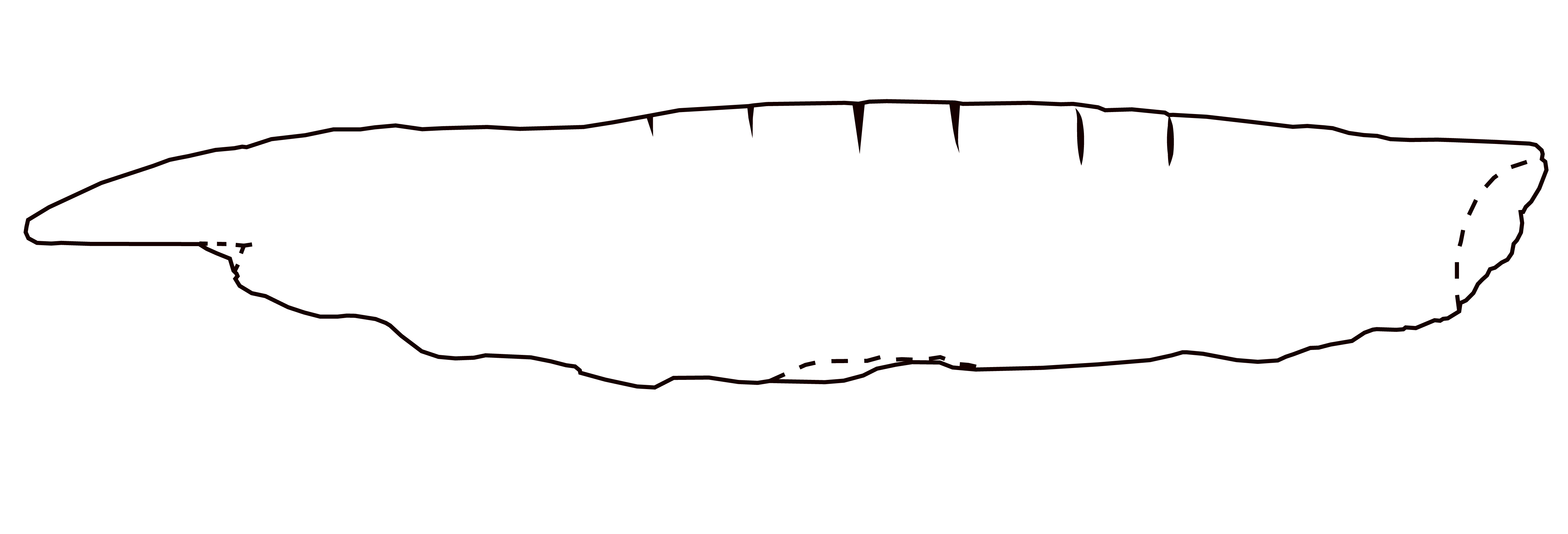 'drawing '