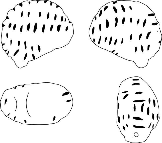drawing vhc0148
