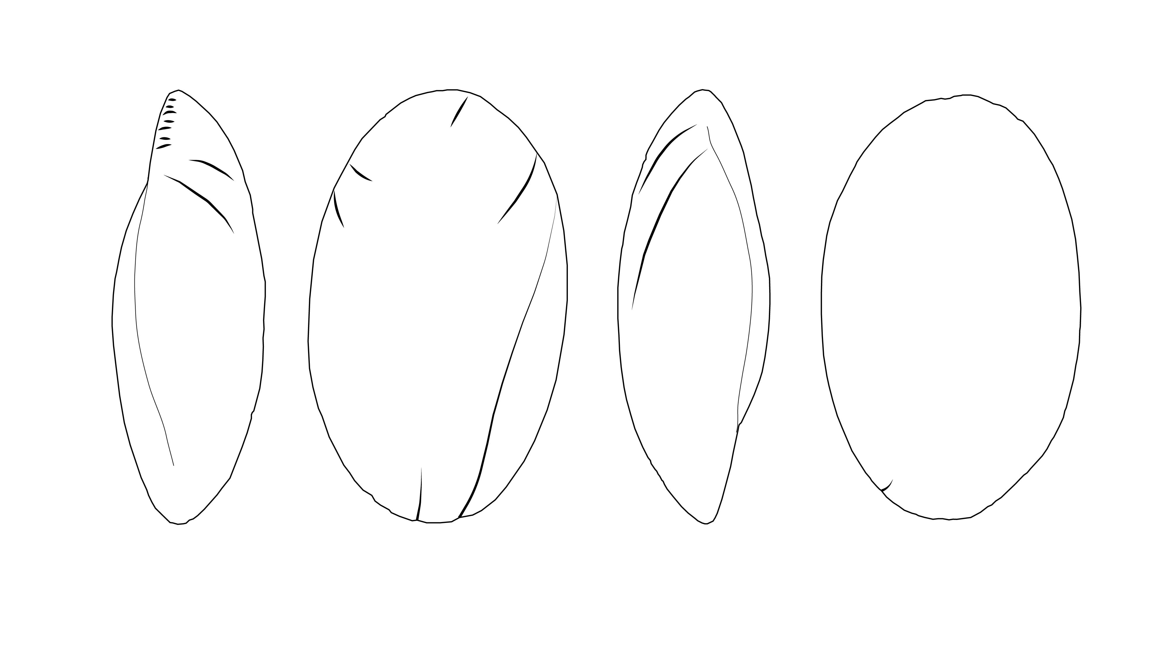 drawing vhc0166