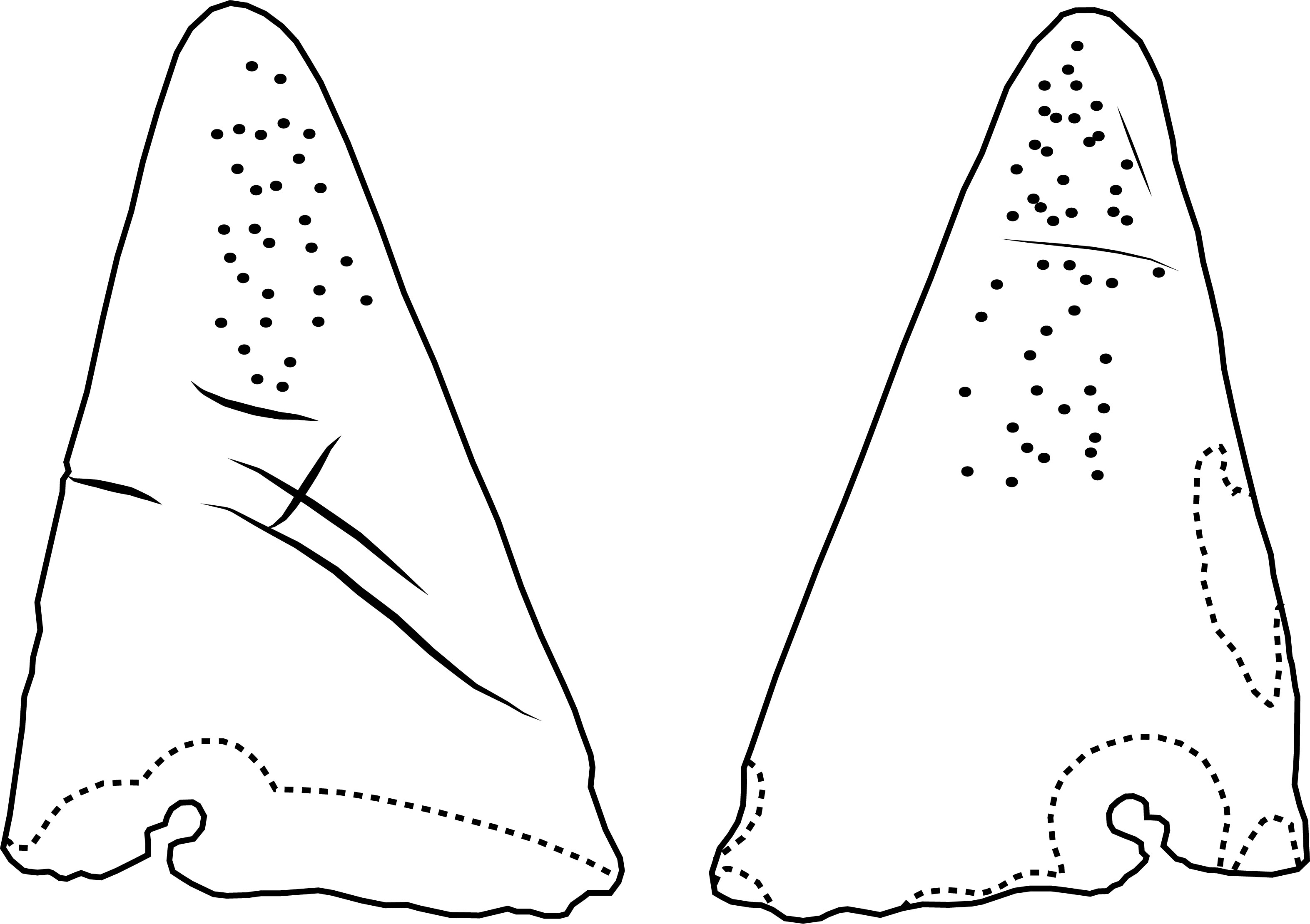 Image 'dr_ztv0003' not available